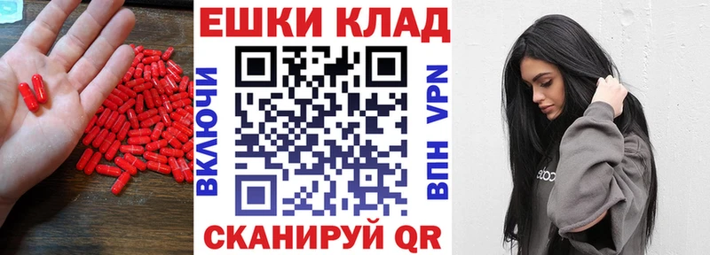 сайты даркнета как зайти  hydra зеркало  Киселёвск  ЭКСТАЗИ Philipp Plein 