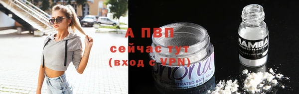 героин Богданович