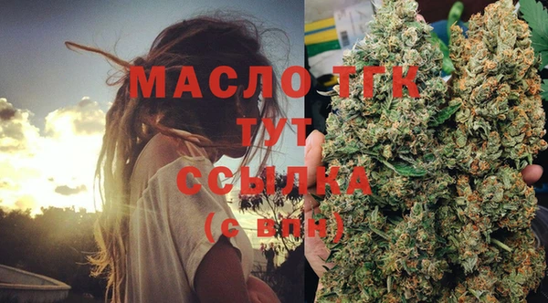 дмт Богородск