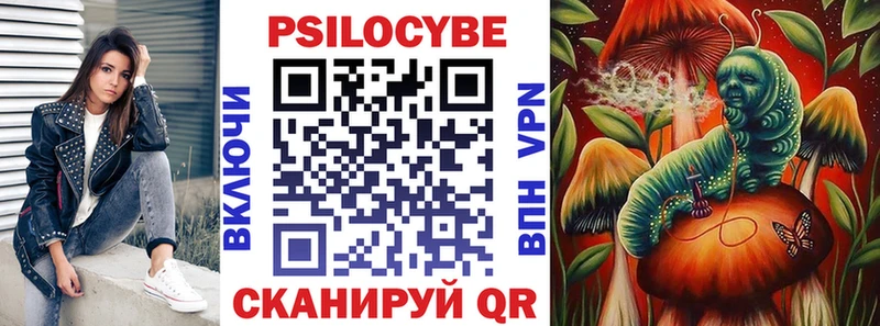 Псилоцибиновые грибы Psilocybe  закладка  Киселёвск 