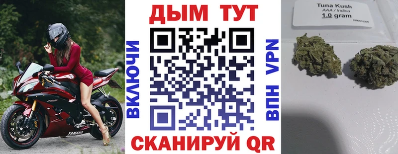 купить наркотики цена  Киселёвск  Канабис конопля 
